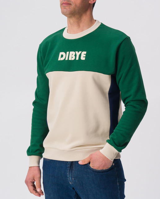 Imagen 0 de Sudadera cuello redondo combinada