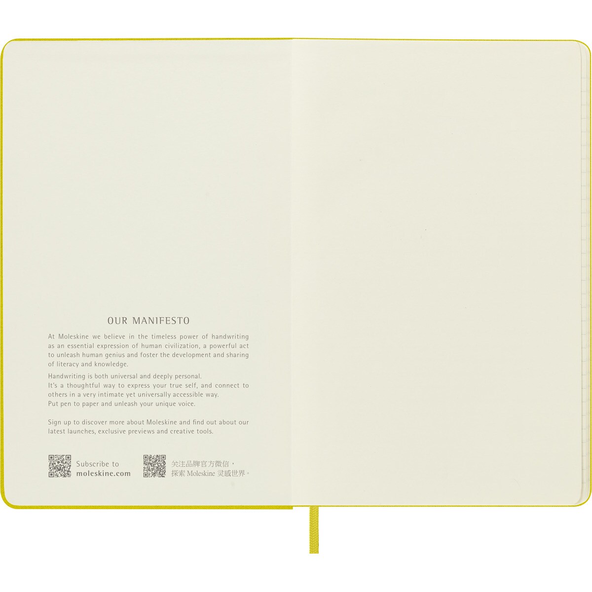 Caderno Classic Large Capa Dura Folhas de Linhas - Amarelo Feno Amarelo-3