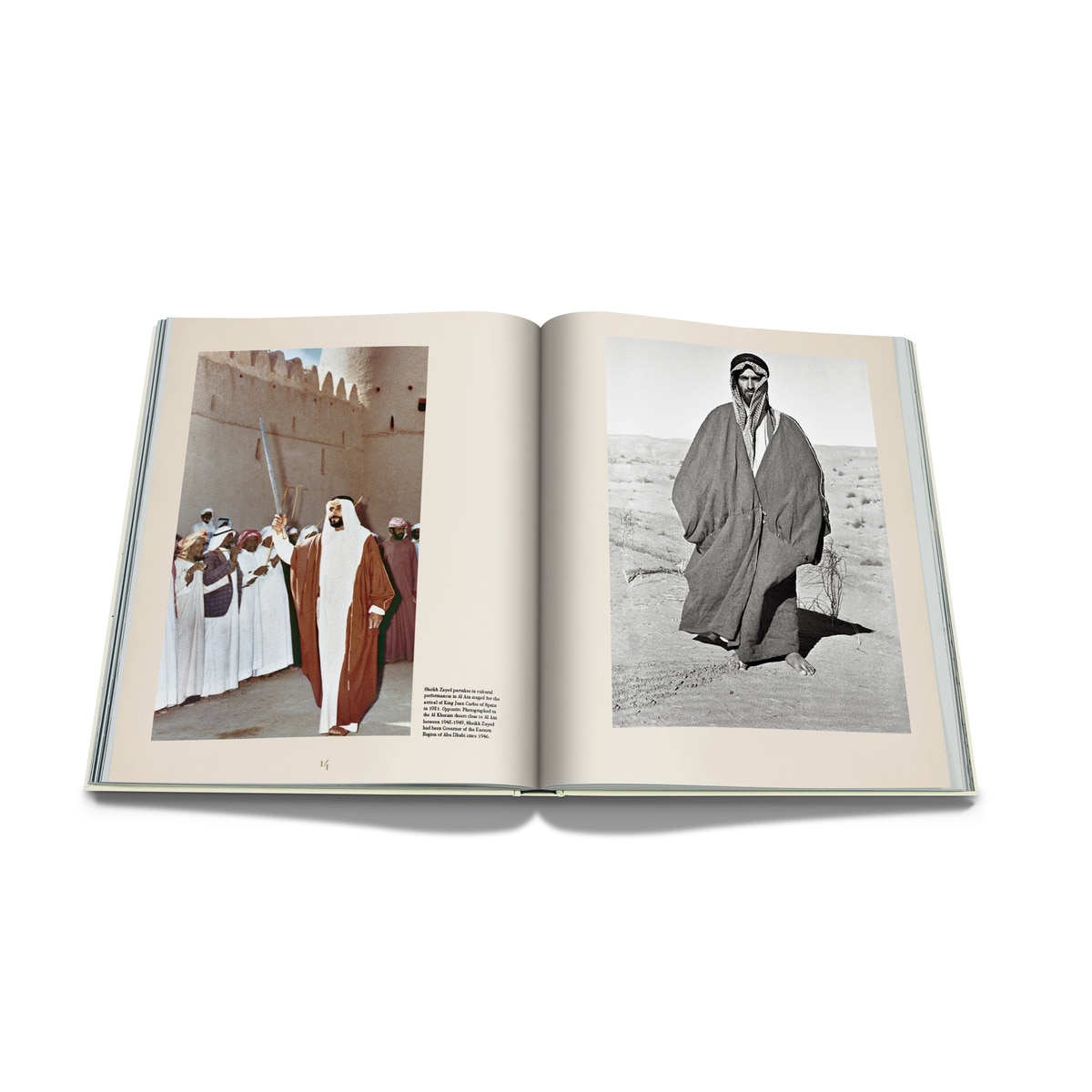 Sheikh zayed 2