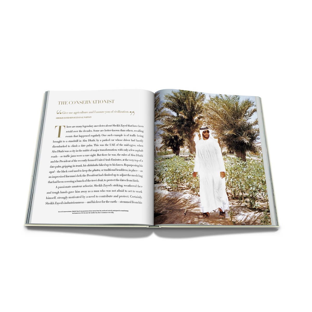 Sheikh zayed 8