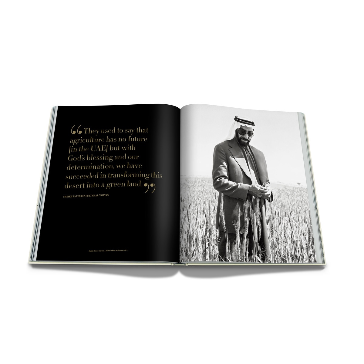 Sheikh zayed 10