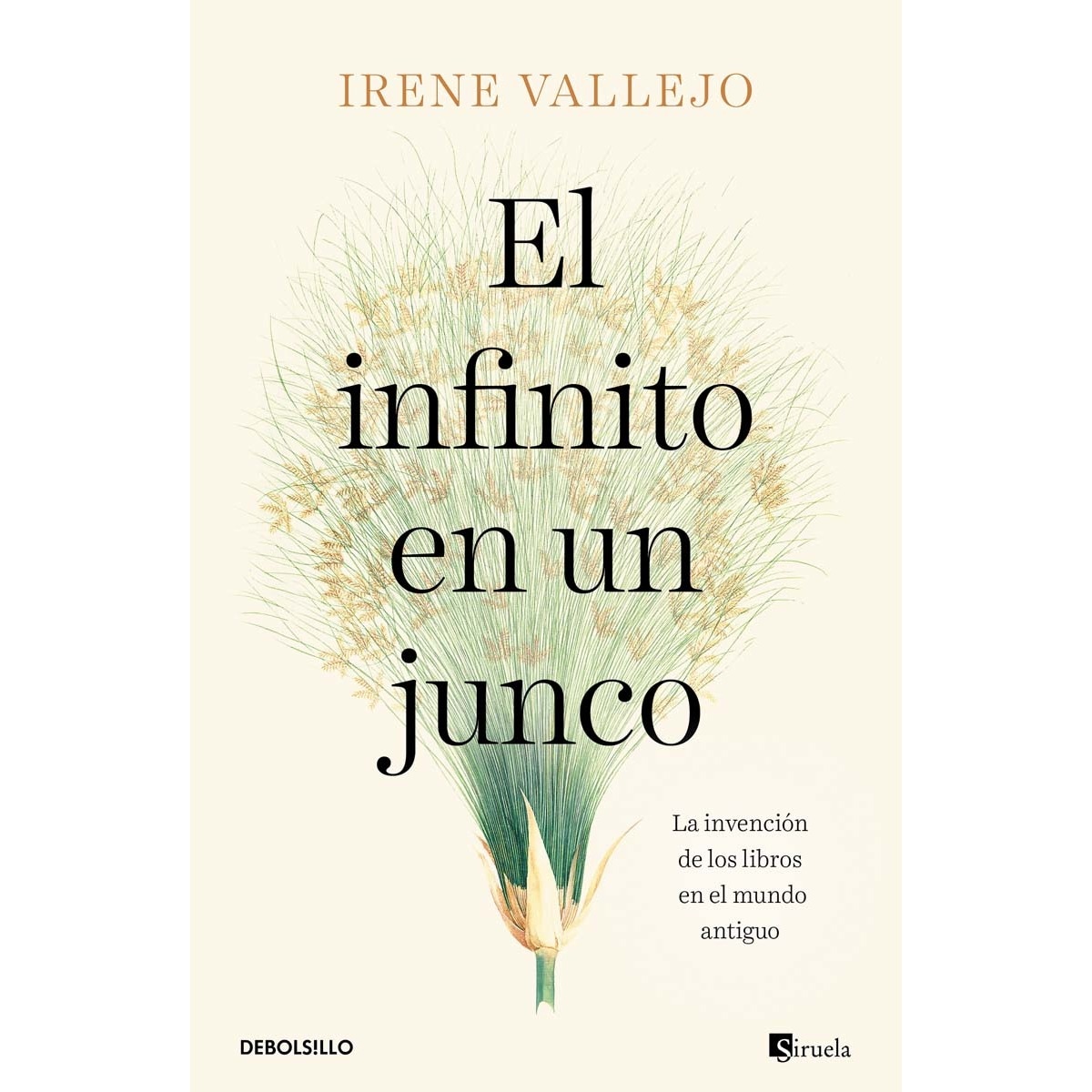 Imagen 0 de El infinito en un junco: La invención de los libros en el mundo antiguo (Tapa blanda)