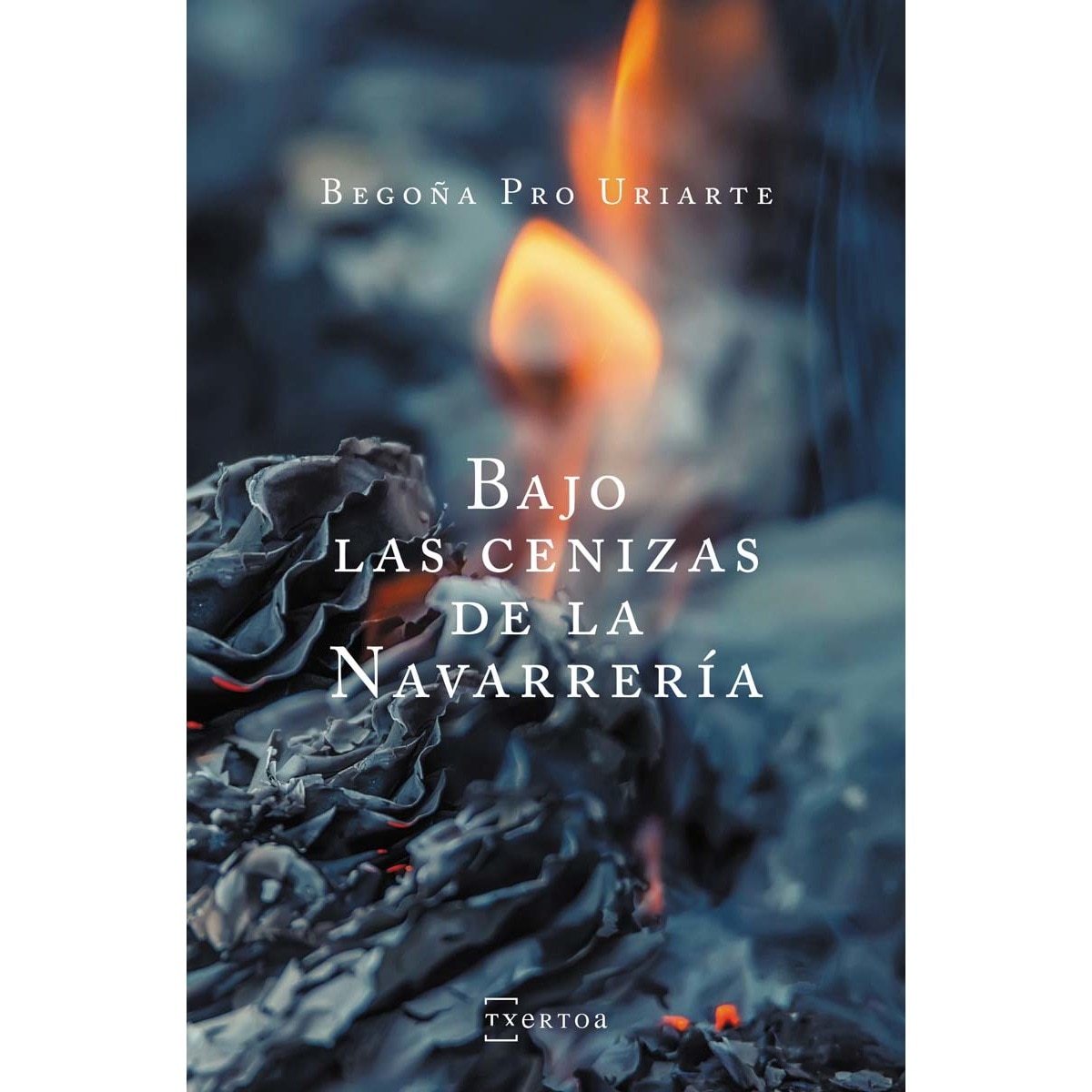 Imagem 0 de Bajo las cenizas de la Navarrería (Bolso) (Capa mole)