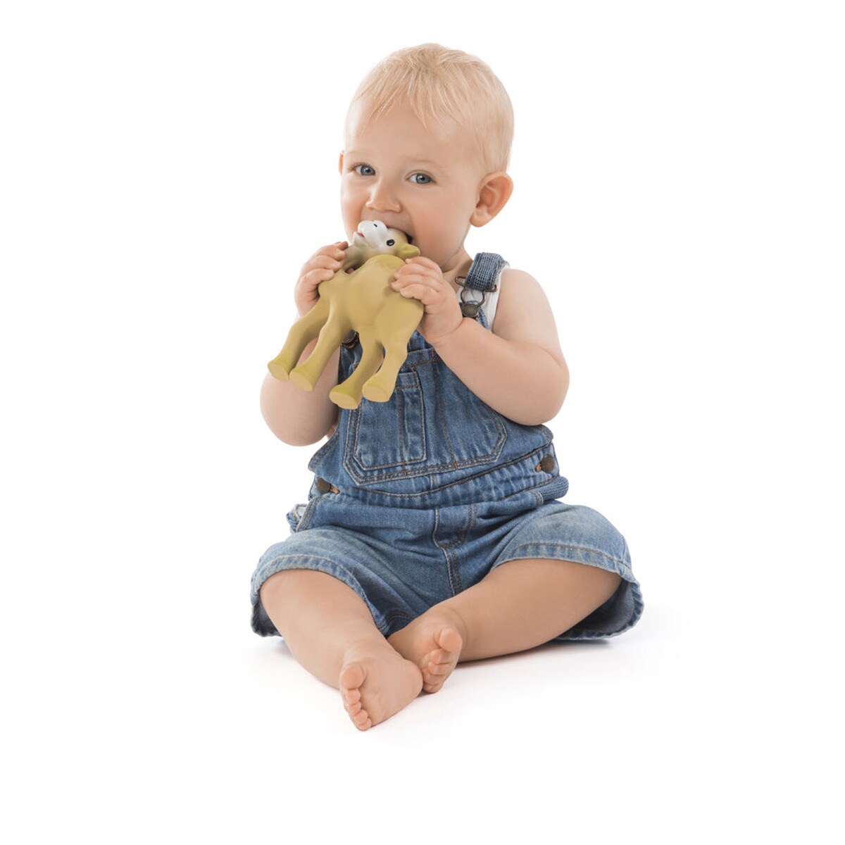 Al'Thir o Camelo com Caixa Presente - 100% Hévea 3