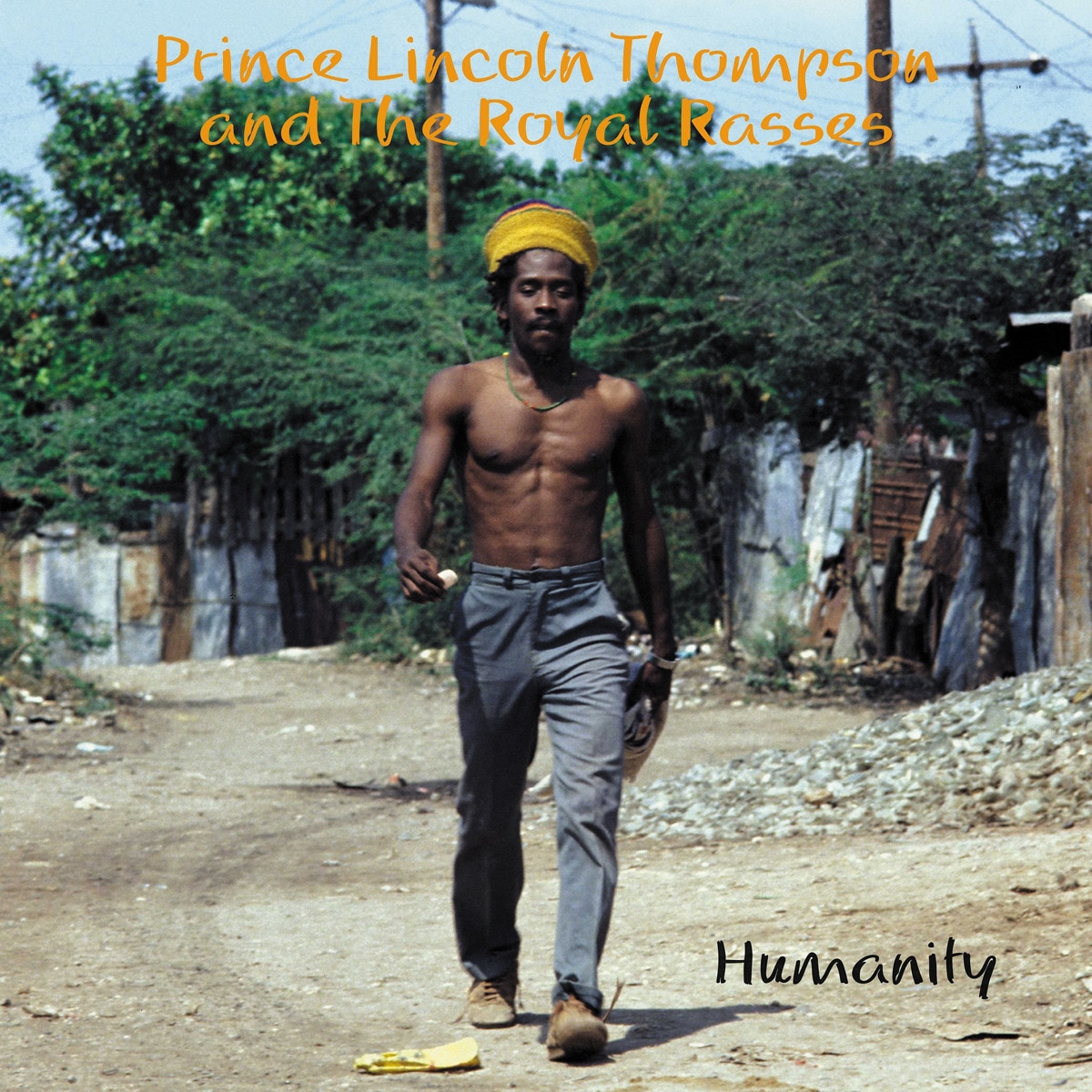 Imagem 0 de Humanity (LP-Vinil)