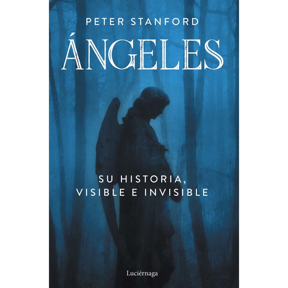 Ángeles: Su historia visible e invisible (Capa mole com abas) 1