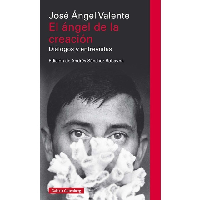 Imagen 0 de El ángel de la creación: Diálogos y entrevistas (Tapa dura)