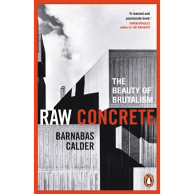 Raw concrete 1