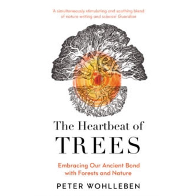 Imagen 0 de The heartbeat of trees