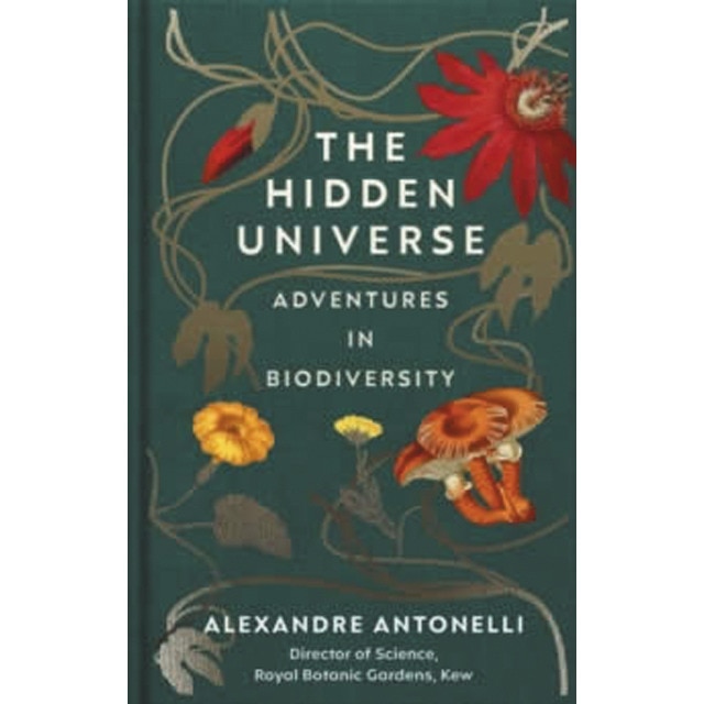 The hidden universe 1