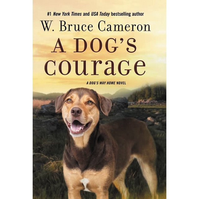 A dog's courage 1