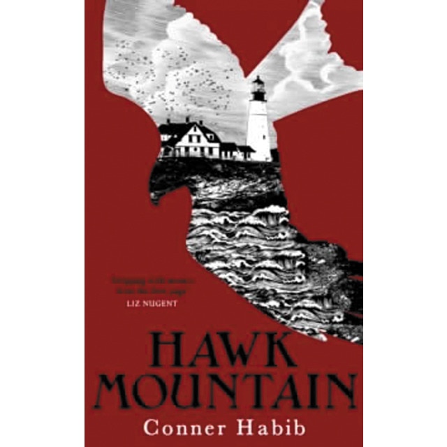 Hawk mountain 1