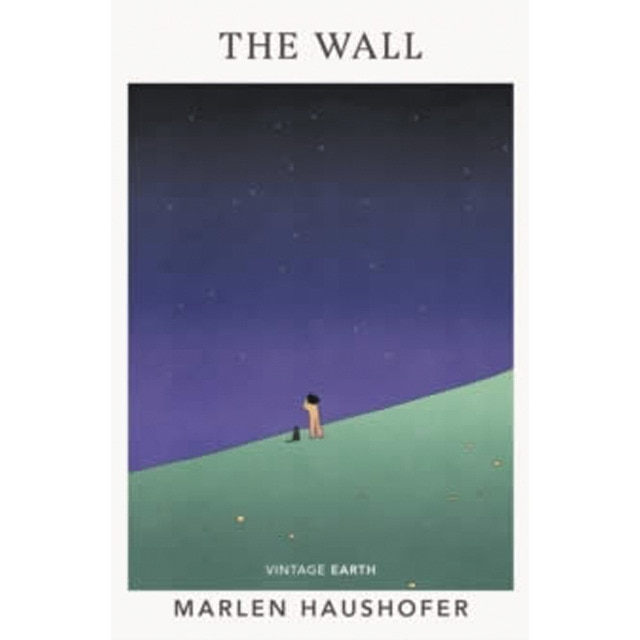 Imagem 0 de The wall