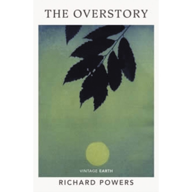 Imagem 0 de The overstory