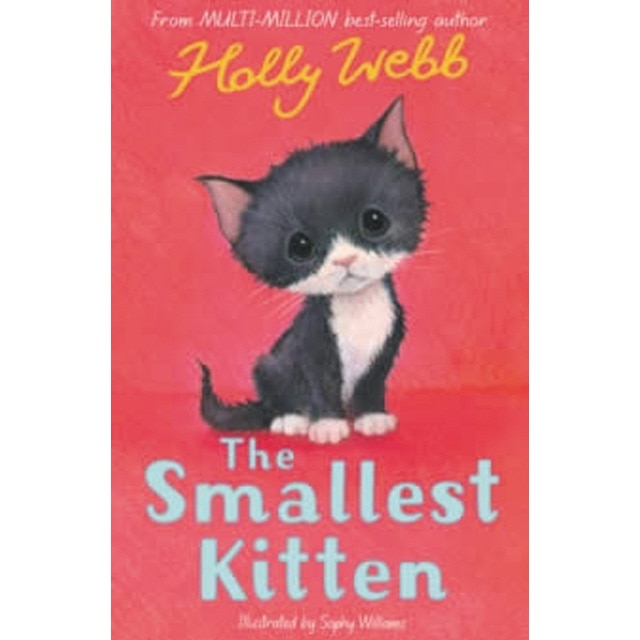 Hw: the smallest kitten 1