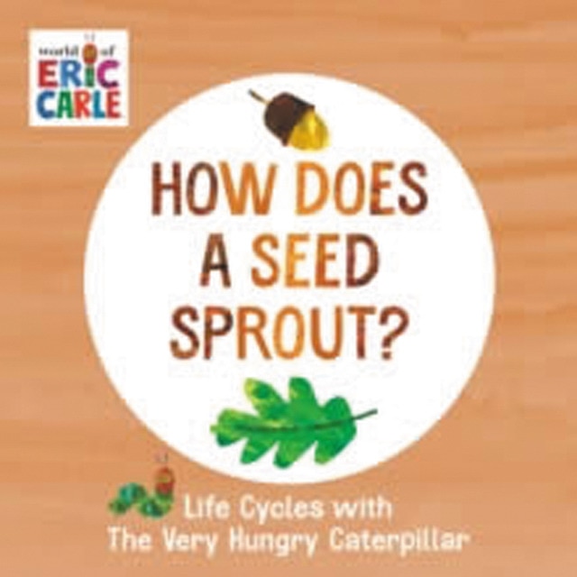 How does a seed sprout? 1