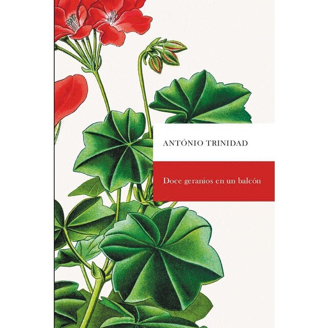 Imagem 0 de Doce geranios en un balcón(Tapa blanda)