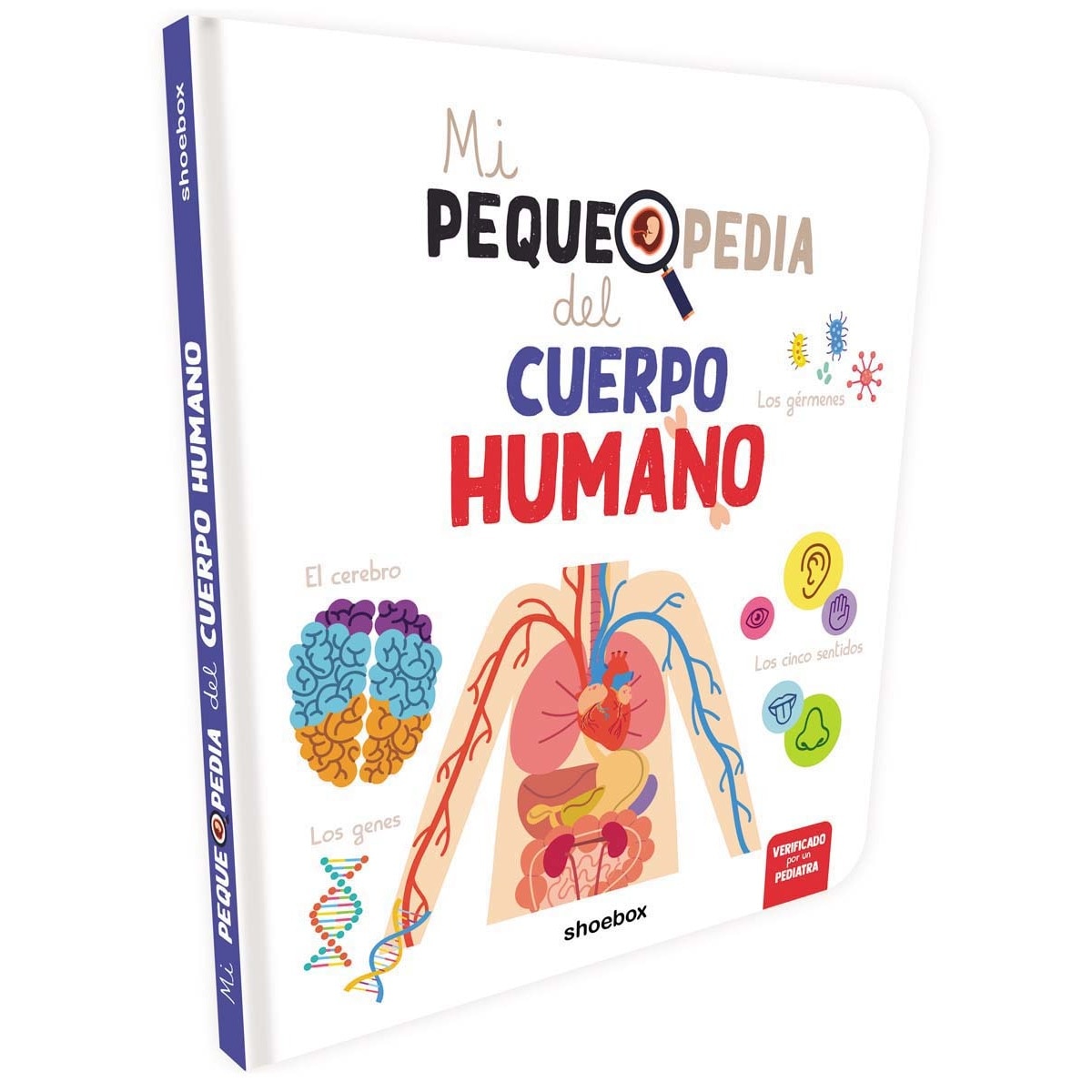 Mi pequepedia del cuerpo humano 1