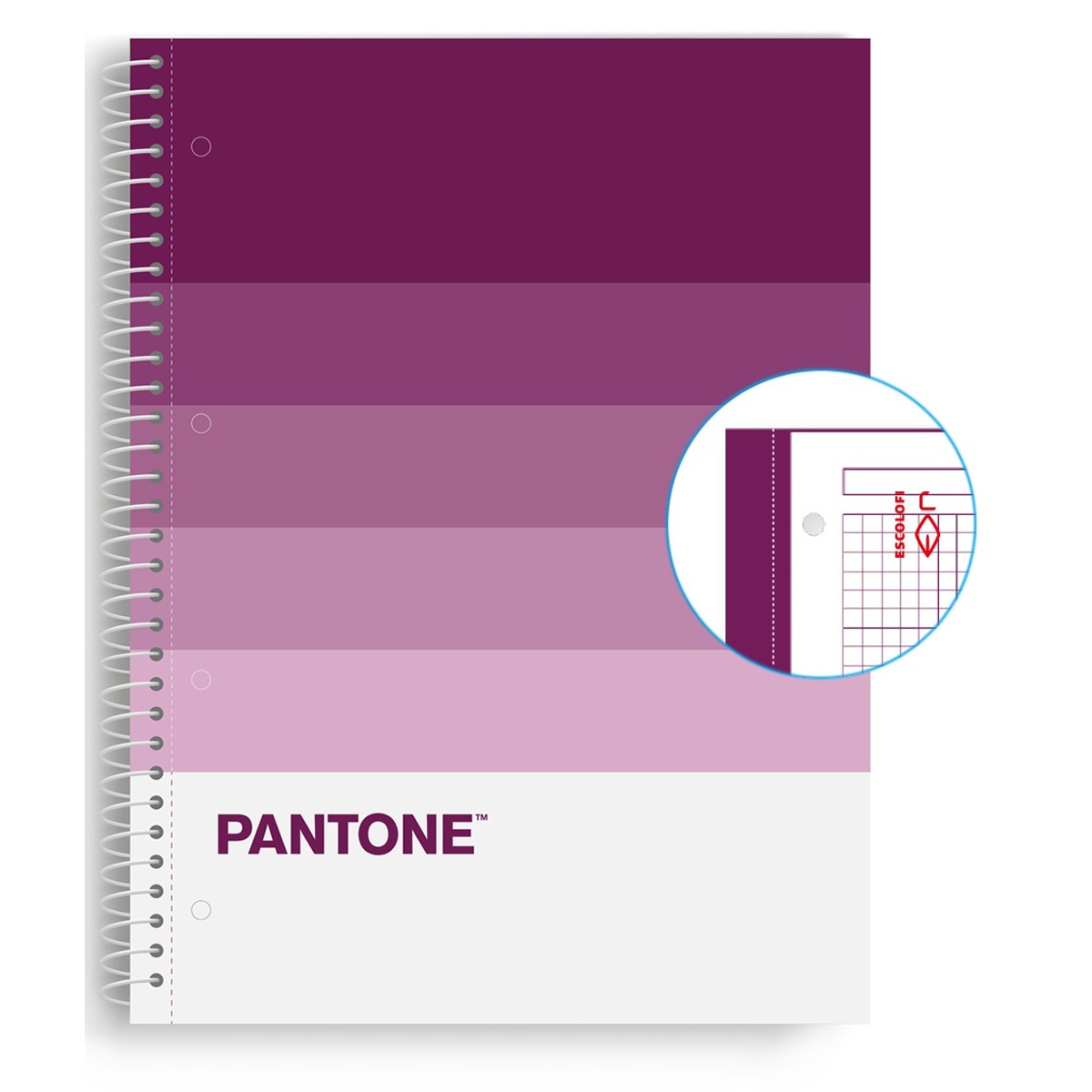 Imagen 0 de Cuaderno A4 80/90 Microperforado Pantone Fantasy Escolofi Violeta