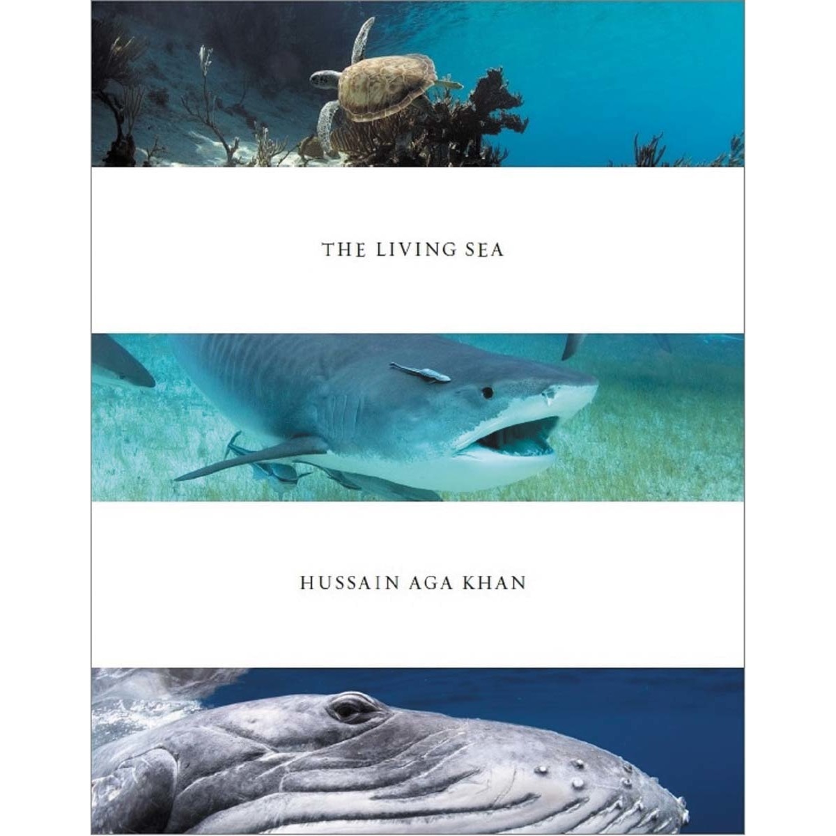 The living sea(Tapa dura) 1