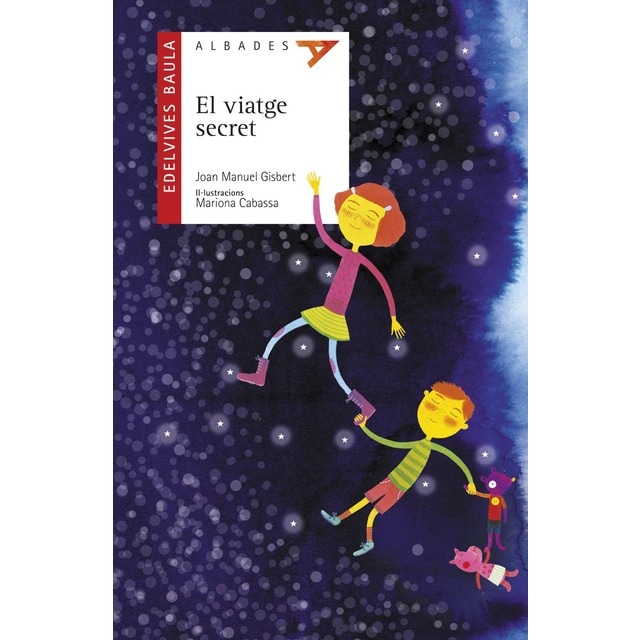 Imagen 0 de El viatge secret (Tapa blanda)