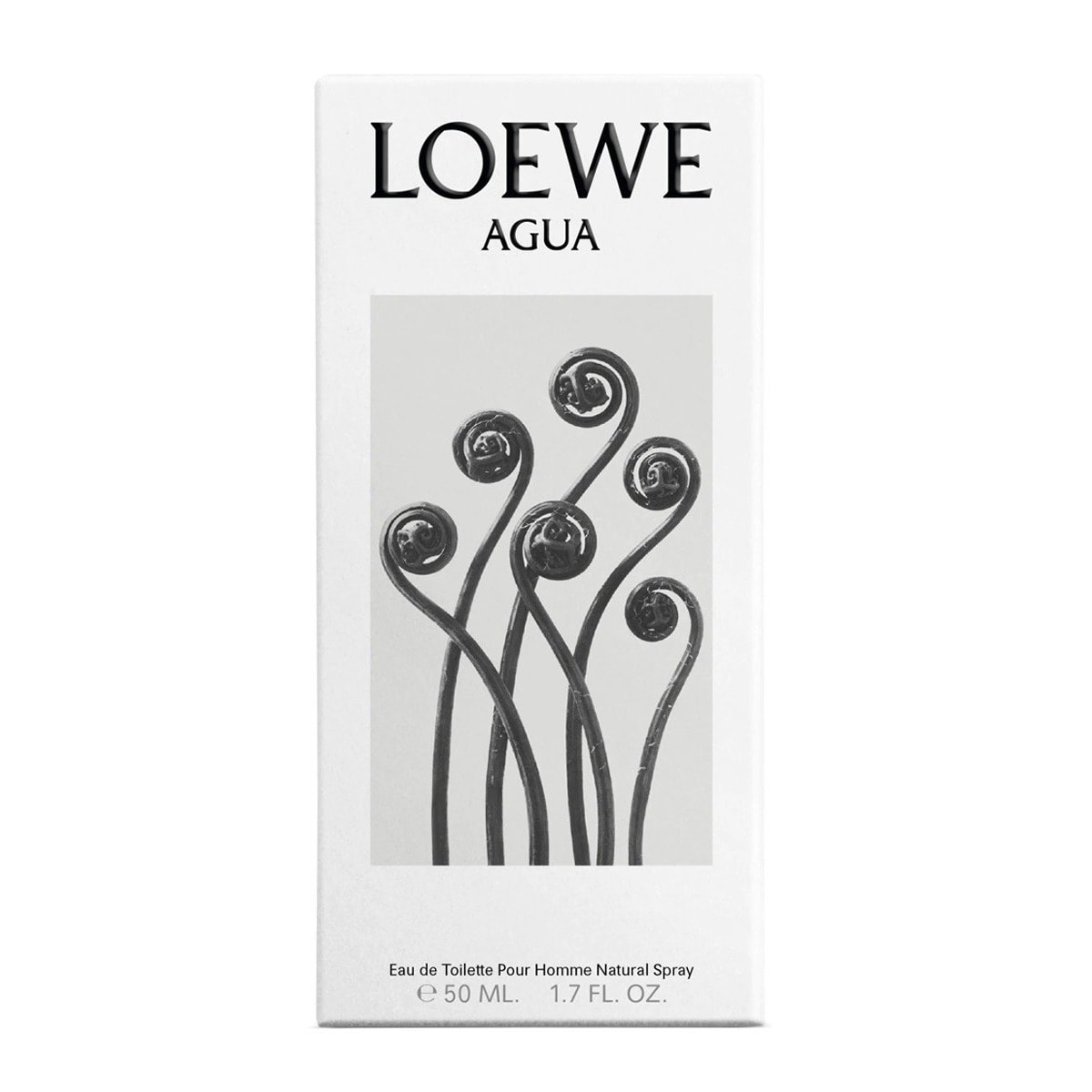 AGUA Eau de Toilette 3