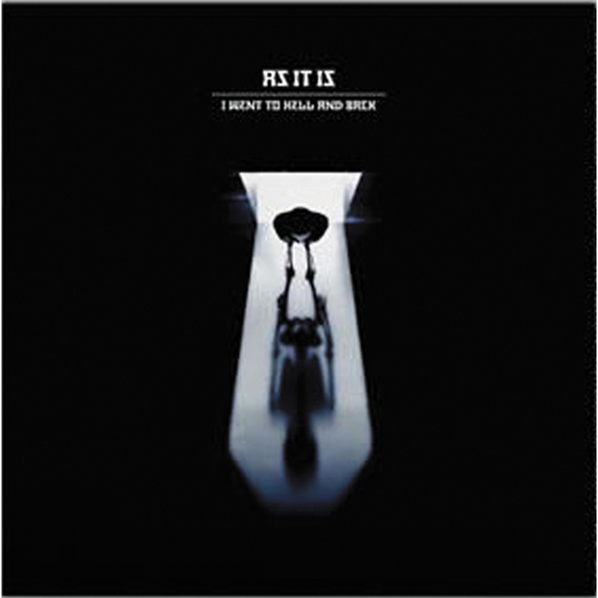 Imagem 0 de I WENT TO HELL AND BACK (LP-Vinil)