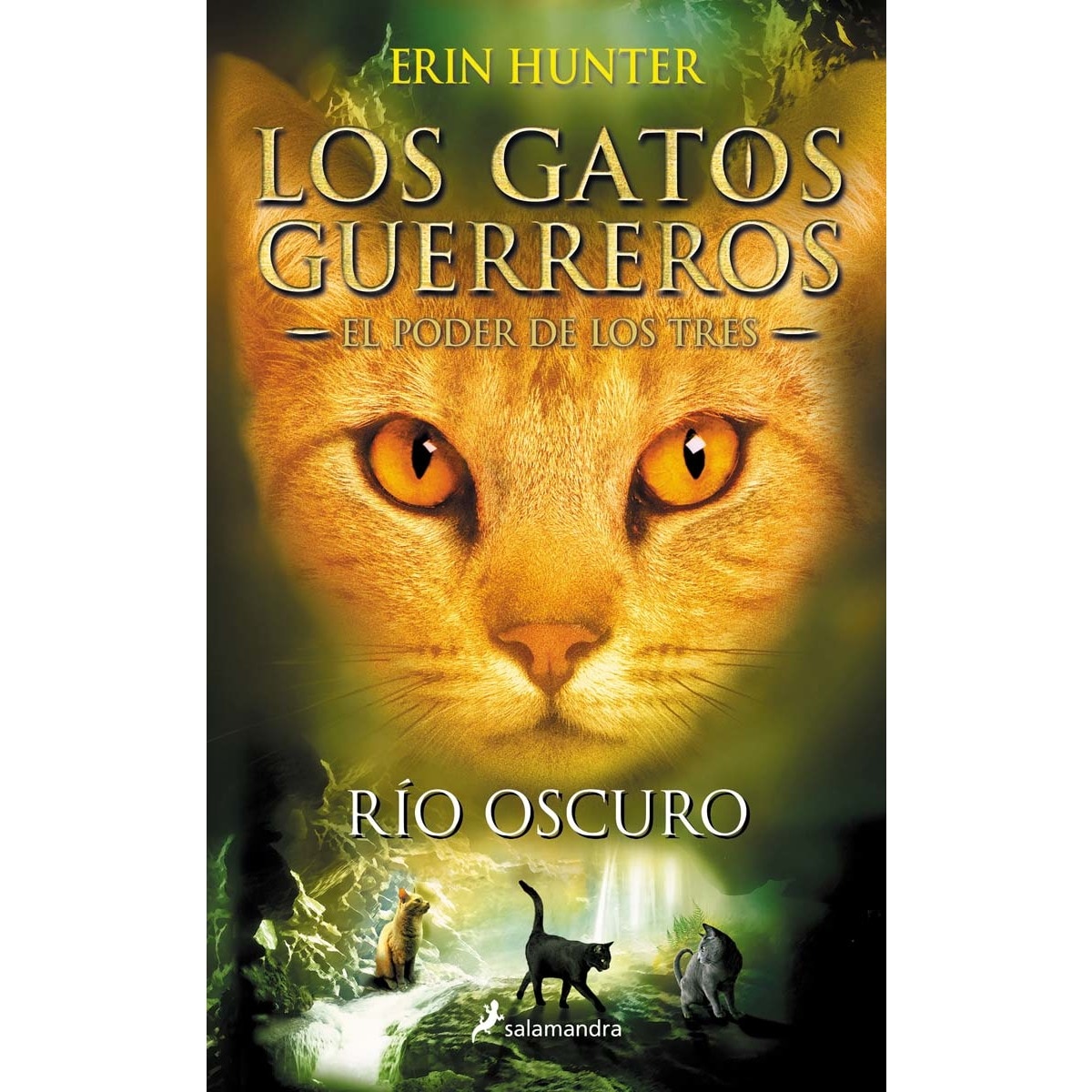 Imagem 0 de Los Gatos Guerreros | El Poder de los Tres 2 - Río oscuro: Los gatos guerreros - el poder de los tres ii (Capa mole)