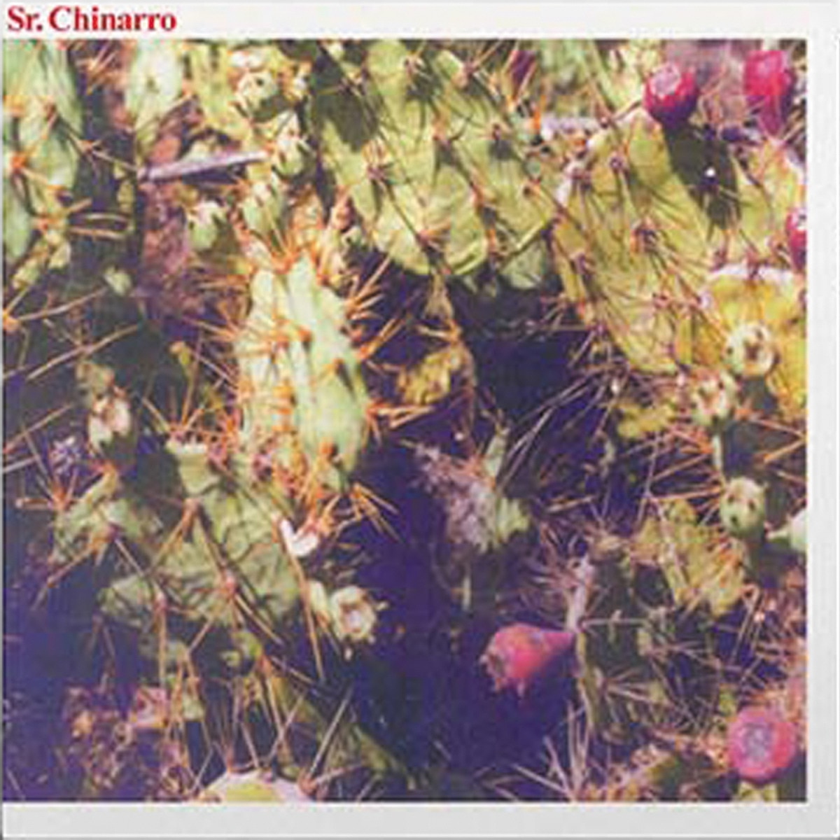 Imagem 0 de Sr. Chinarro Debut (LP-Vinil)