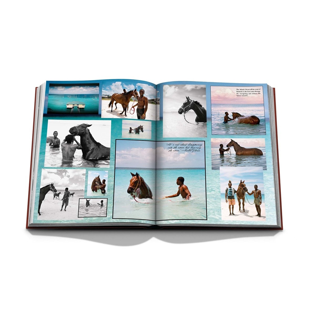 Polo heritage (Capa dura) 11