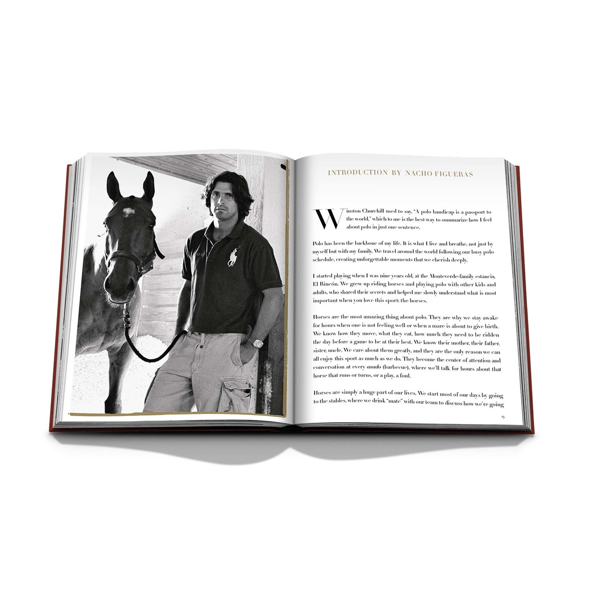 Polo heritage (Capa dura) 4