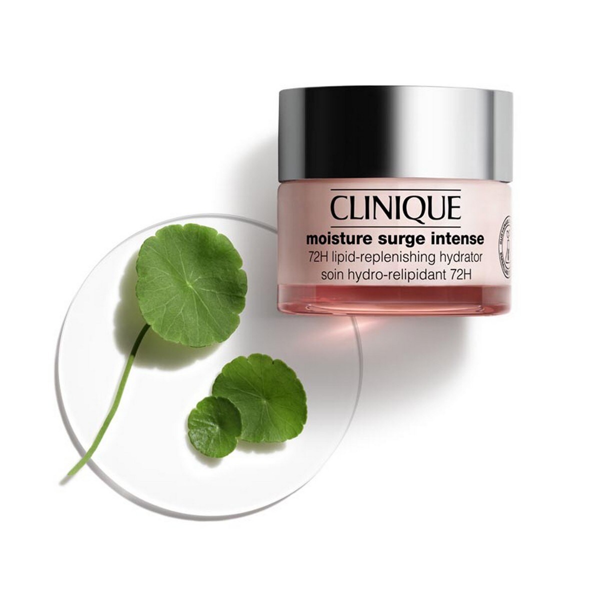 Hidratante Moisture Surge™ Intense 72H Lipid-Replenishing Hydrator - 75 ml 6