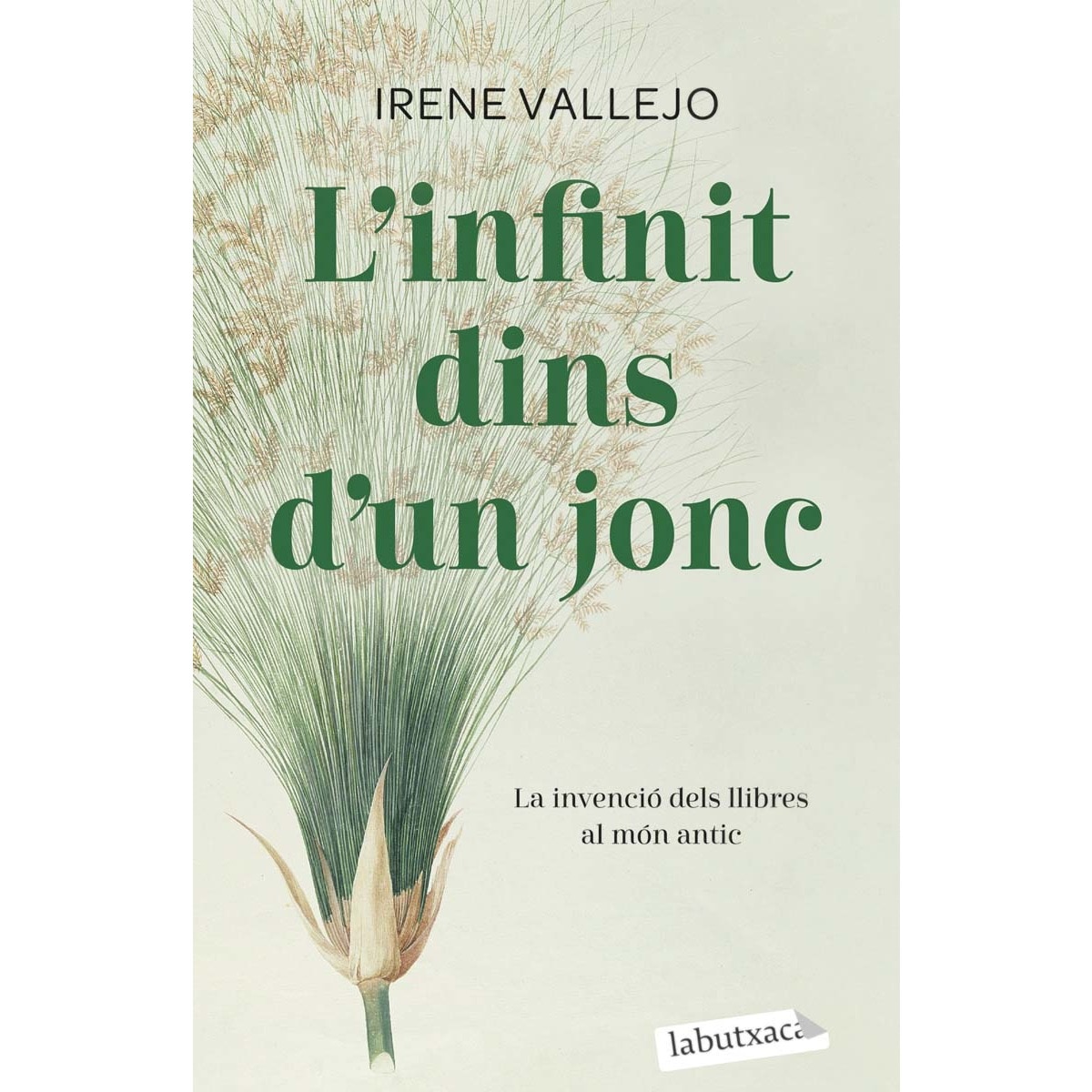 L'infinit dins d'un jonc: La invenció dels llibres al món antic 2