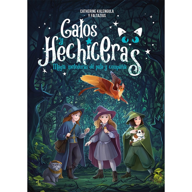 Imagen 0 de Gatos y hechiceras (Tapa dura)
