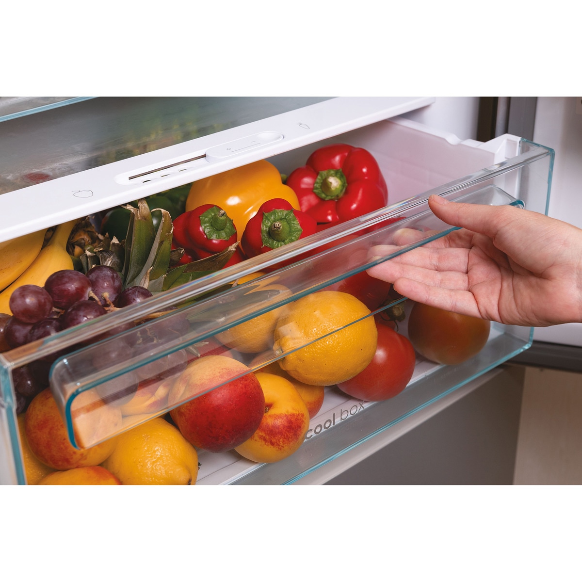 Frigorífico Combi Candy Total No Frost Circle + con Wifi Fresco - CCE7T618ES Plata-15