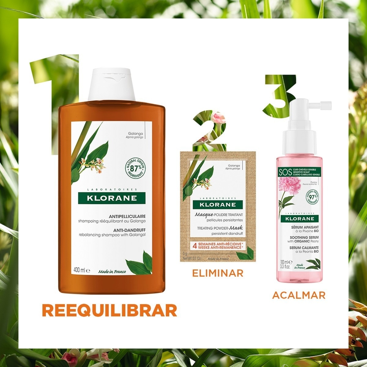 Champô Reequilibrante com Galanga - 400 ml 7