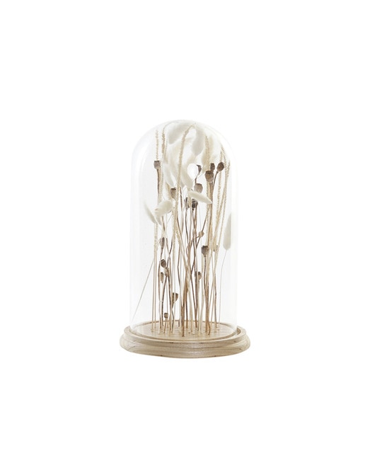 Imagen 0 de Decoración flor seca