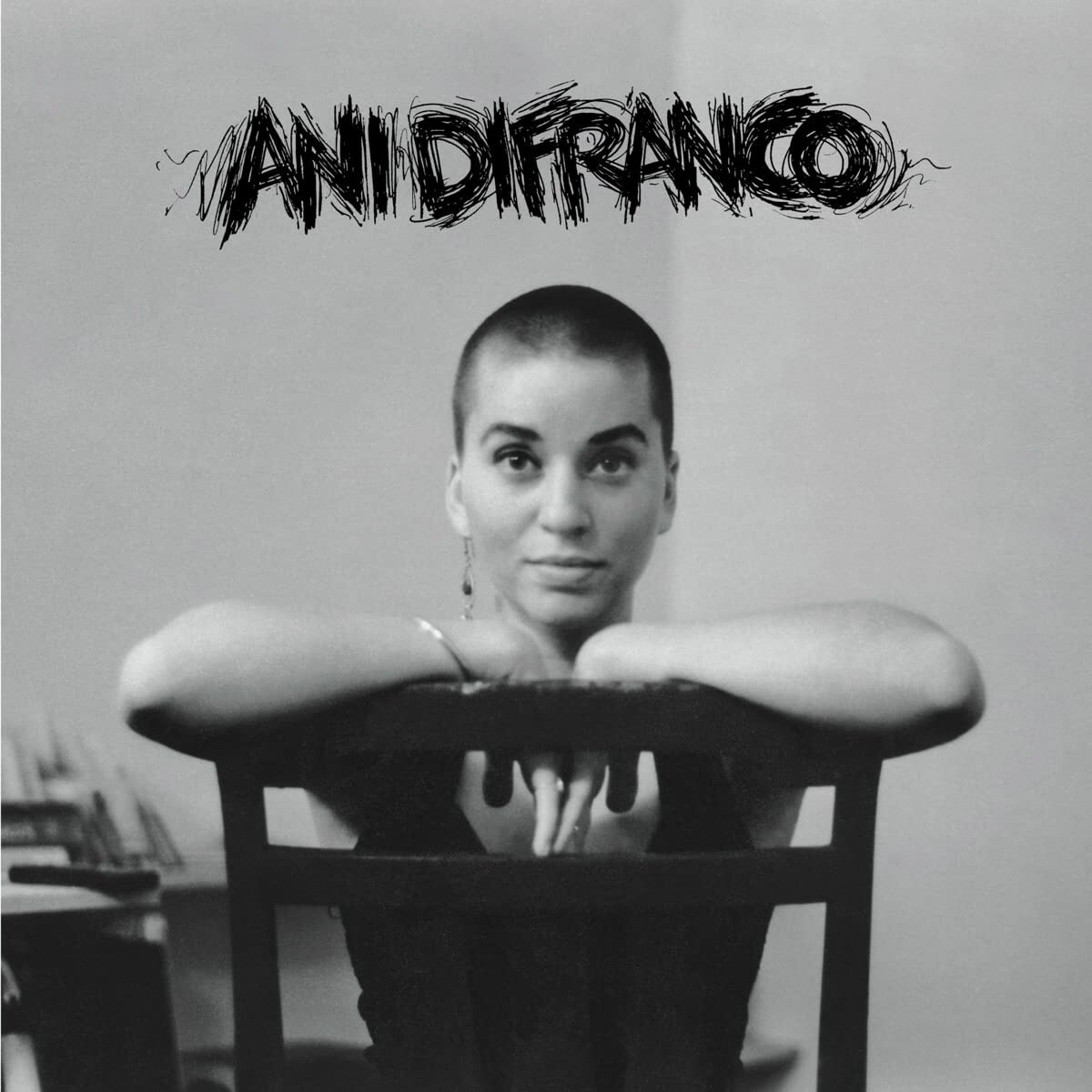 Ani Difranco (2 LP-Vinilo) 1