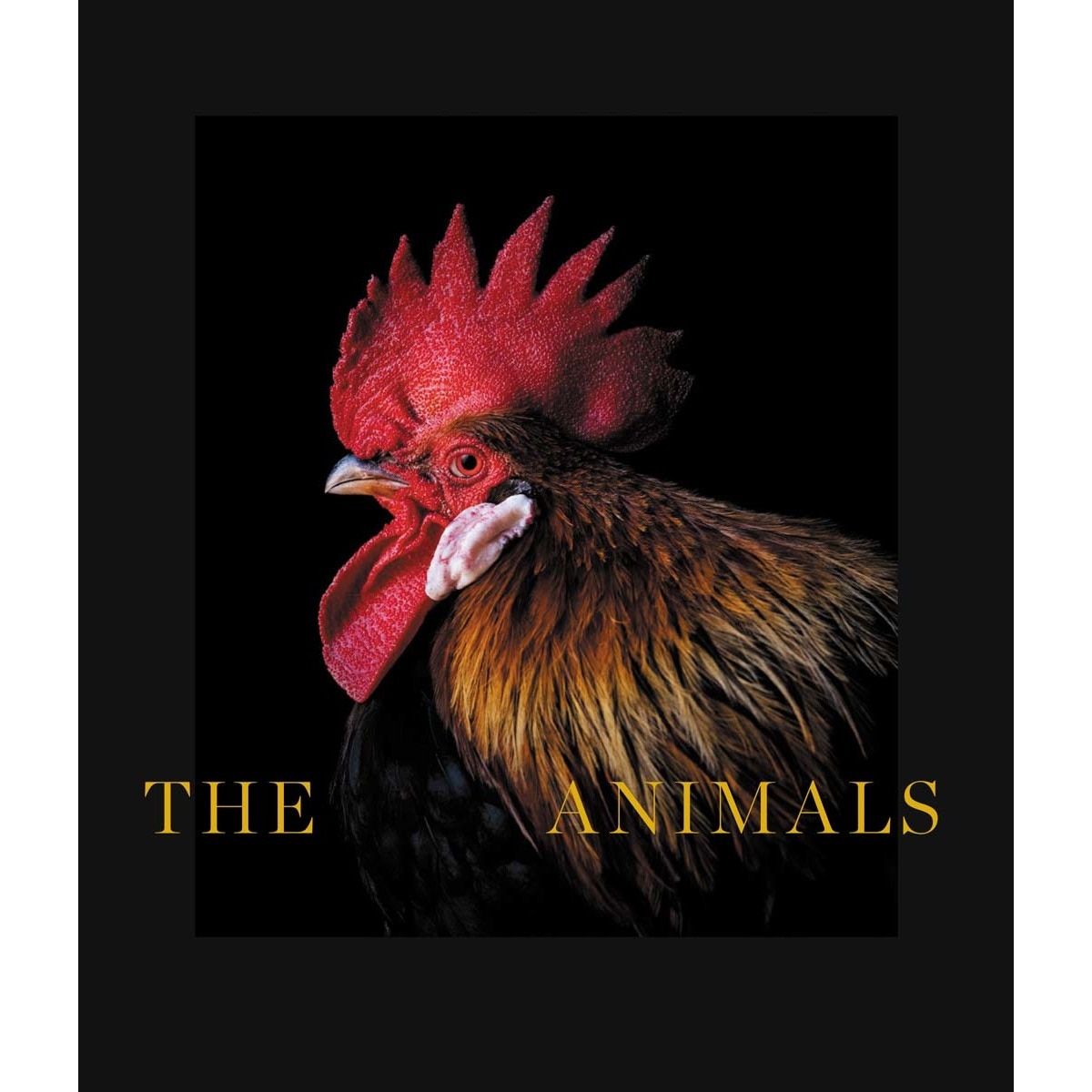 The animals 1