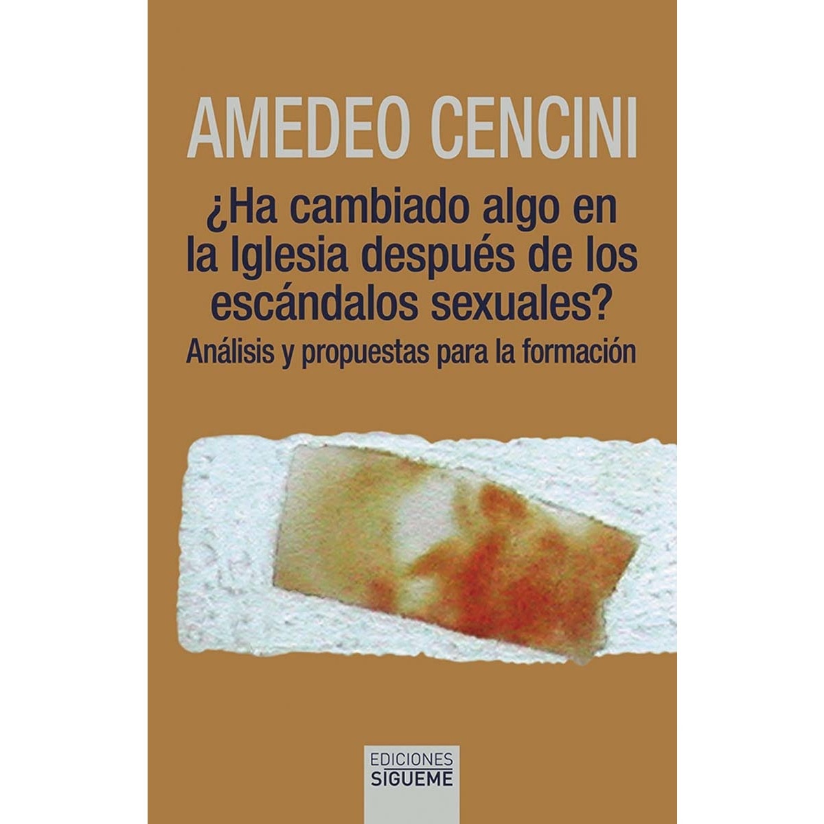 Imagem 0 de ¿Ha cambiado algo en la iglesia después de los escándalos sexuales?: Análisis y propuesta para la formación (Capa mole)