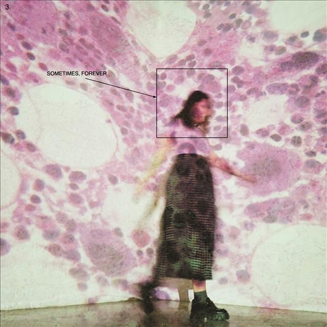 Imagen 0 de Sometimes, Forever (Edición Deluxe) (LP-Vinilo)