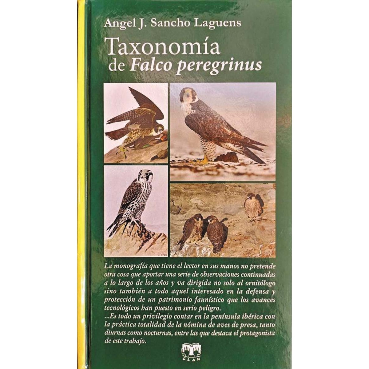 Imagem 0 de Taxonomía de falco peregrinus(Tapa dura)