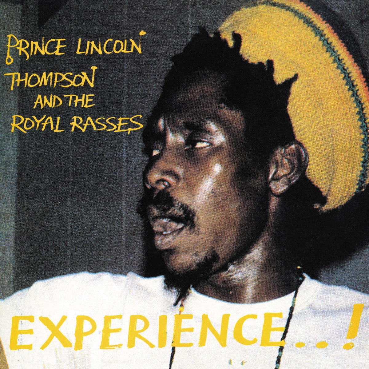Imagem 0 de Experience..! (LP-Vinil)