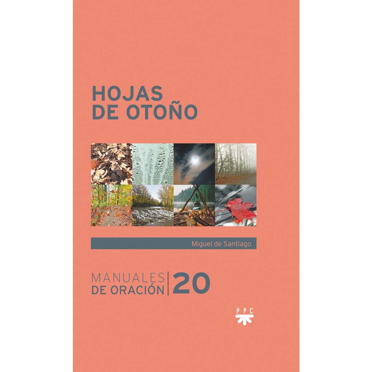 Hojas de otoño (Capa mole) 1