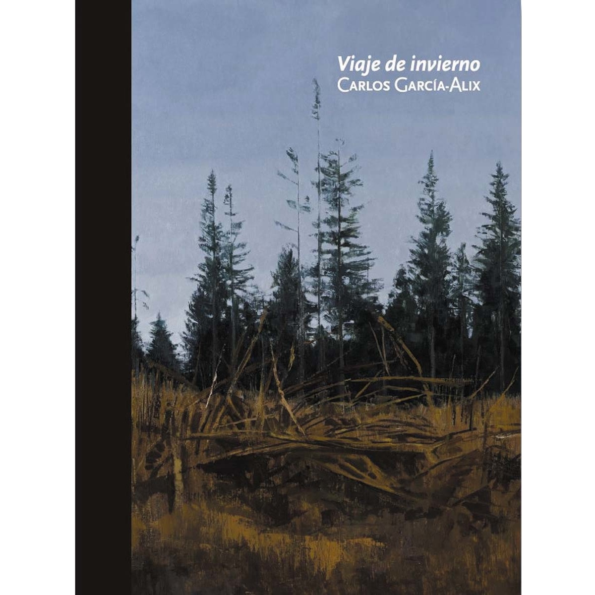 Imagem 0 de Viaje de invierno