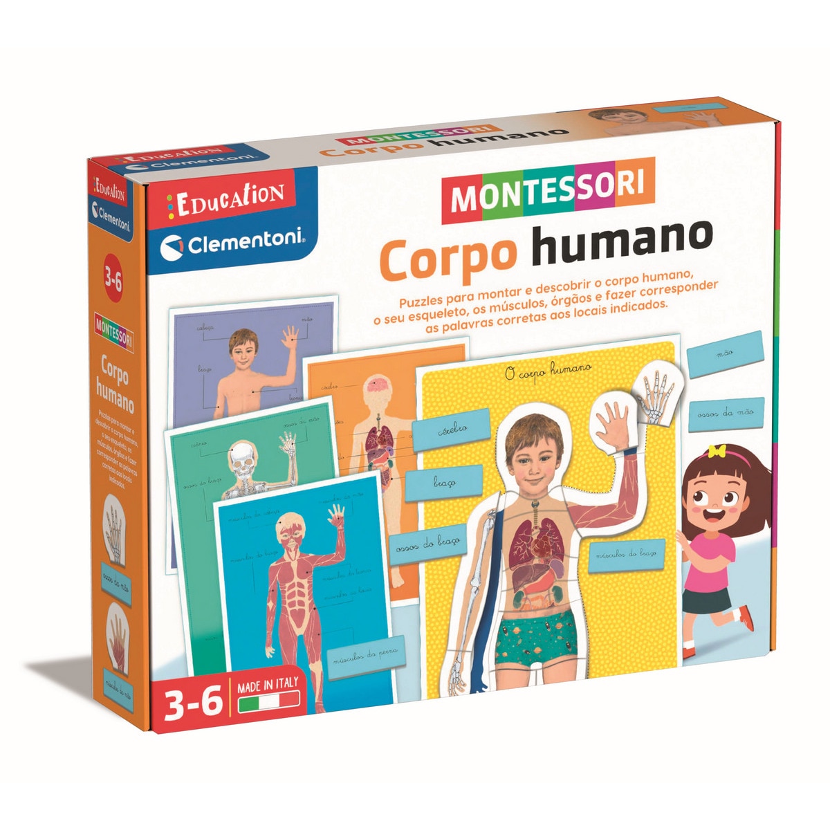 Montessori Corpo Humano 1