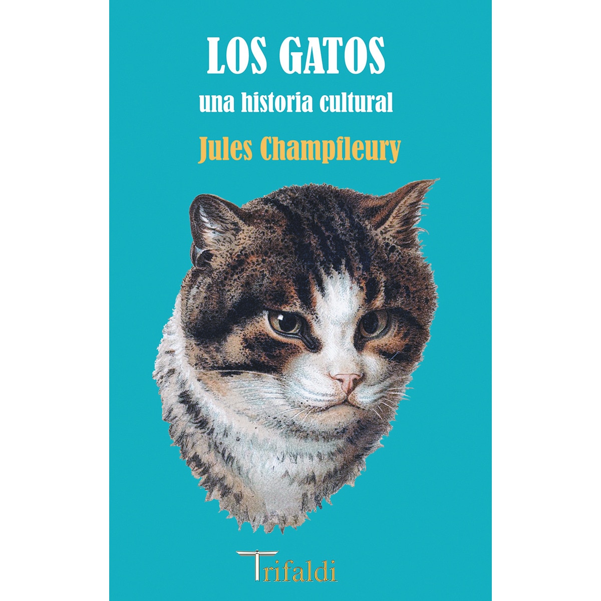 Los gatos 1