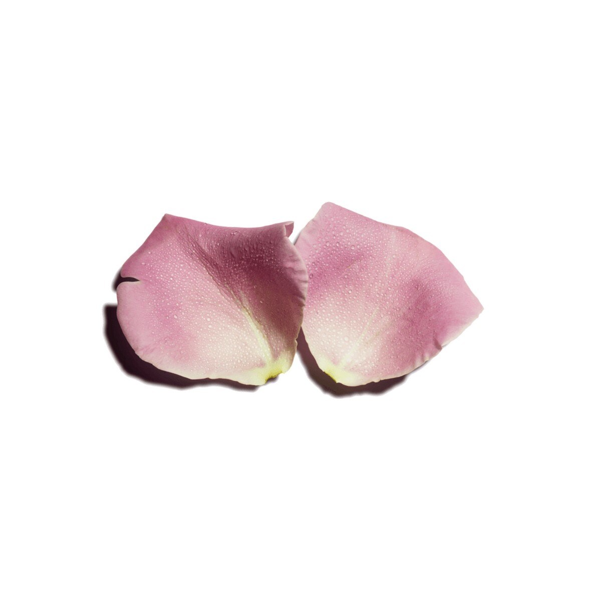 Bálsamo Multi-usos Rosas 4