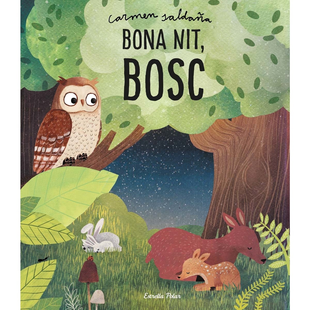 Imagem 0 de Bona nit, bosc