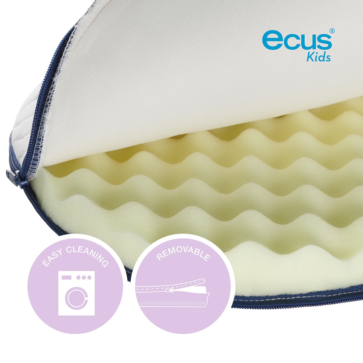 Ecus